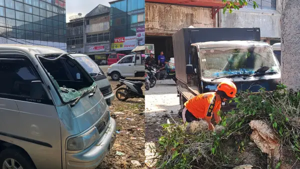 Kondisi 2 mobil yang rusak pada bagian kaca depan akibat tertimpa dahan pohon patah saat parkir di Jalan Tipar Gede, Kota Sukabumi. (Sumber : Asep Awaludin)