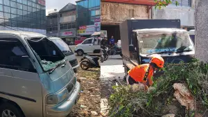 Kondisi 2 mobil yang rusak pada bagian kaca depan akibat tertimpa dahan pohon patah saat parkir di Jalan Tipar Gede, Kota Sukabumi. (Sumber : Asep Awaludin)