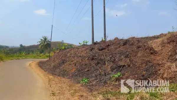 Pembakaran lahan milik PTPN 8 Cikaso oleh warga diduga untuk membuka ladang pertanian di Ciemas Sukabumi | Foto : Ragil Gilang