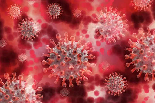Virus Nipah Mudah Menyebar, Yuk Kenali Cara Penularan dan Masa Inkubasinya! | Sumber: Pixabay.com (geralt)