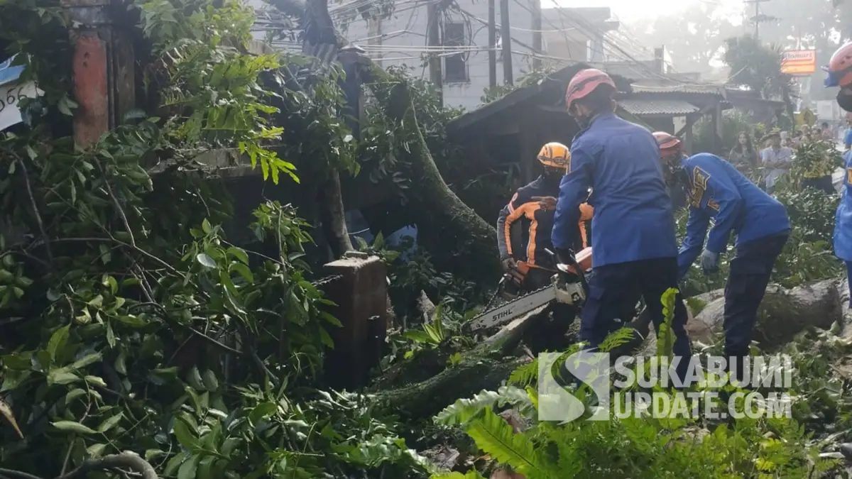 Evakuasi pohon tumbang yang menutup Jalan Nasional Sukabumi-Bogor, tepatnya di Kampung Ciutara RT 22/07 Desa Pondokkaso Landeuh, Kecamatan Parungkuda, Kabupaten Sukabumi, Kamis (4/4/2024). | Foto: P2BK Parungkuda