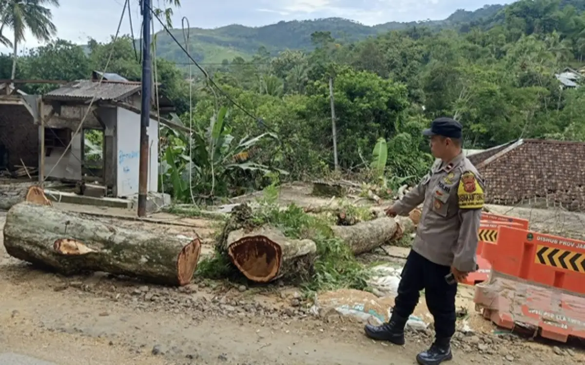 Tiang Listrik Roboh di Nyalindung Sukabumi Akibat Penebangan Pohon, Ini Kronologinya