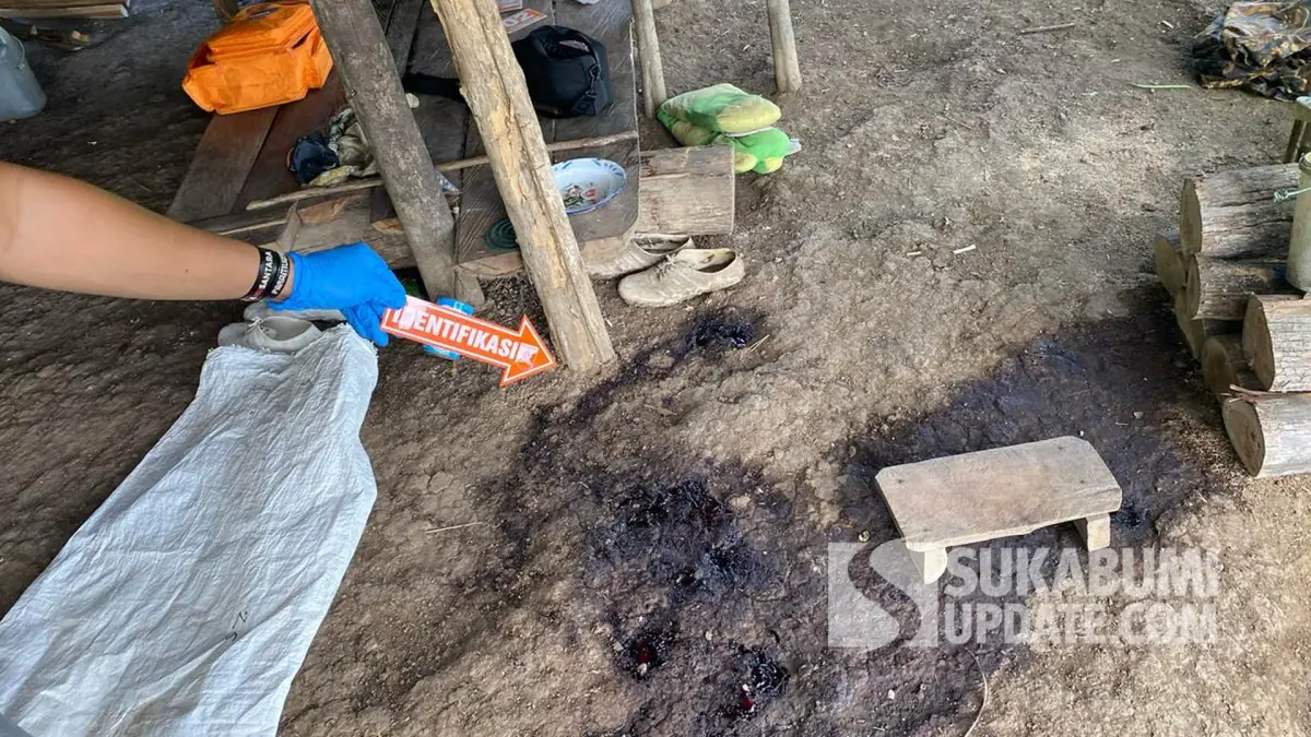 Lokasi Otib diduga tewas tertembak di saung yang berlokasi di lahan Perhutani Cisujen Blok 10, Desa Sumberjaya, Kecamatan Tegalbuleud, Kabupaten Sukabumi. | Foto: Istimewa