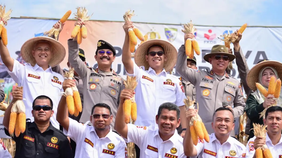 Panen Jagung Hibrida DBA01: Langkah Nyata Doa Bangsa Agrobisnis Jawab Kebutuhan Petani