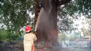 Petugas Damkar saat memadamkan api yang membakar pohon beringin tua keramat berusia puluhan tahun di pinggir jalan Nasional Tegalbuleud Sukabumi. (Sumber Foto: Istimewa)