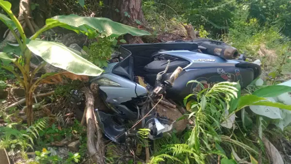 Honda Beat melaju dari arah Palabuhanratu menuju kawasan Geopark Ciletuh, diduga mengalami rem blong dan masuk ke jurang sedalam kurang lebih 15 meter | Foto : Dok. Warga