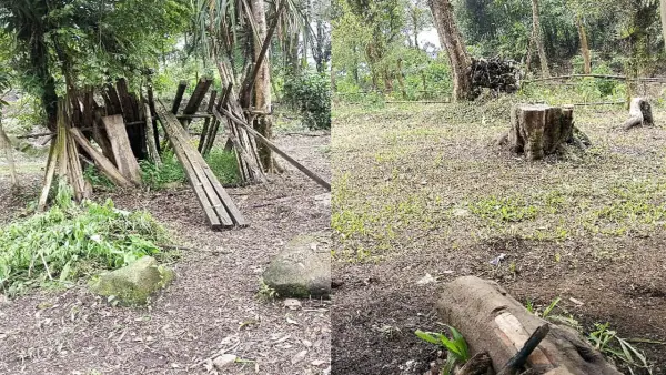 Potret penebangan hutan di lereng Gunung Salak Cidahu Kabupaten Sukabumi | Foto : Dok. Ist