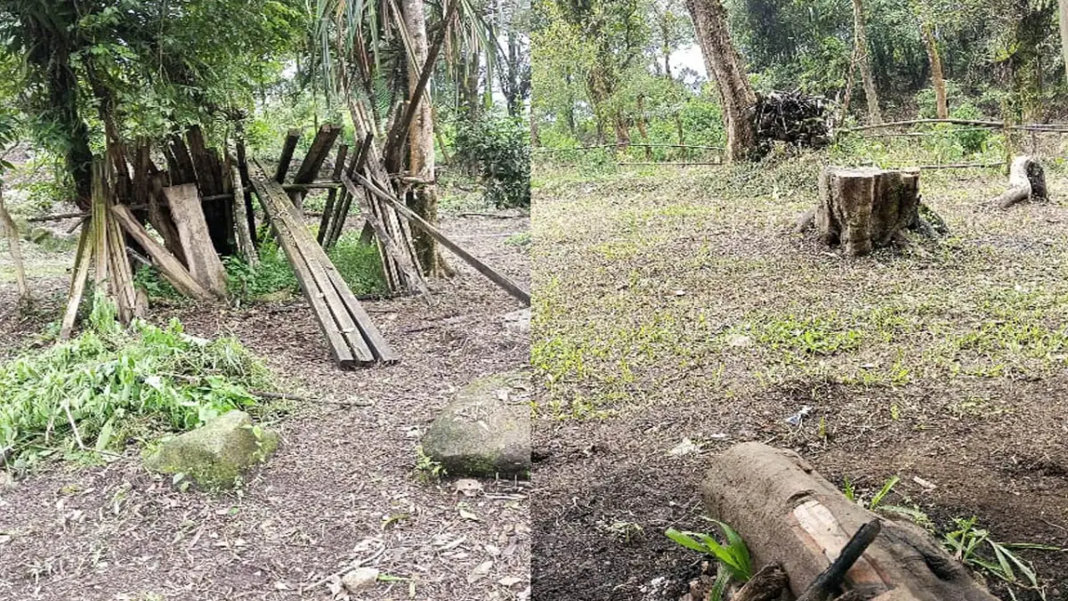 Lereng Gunung Salak Rusak Akibat Pembalakan Liar, Warga Cidahu Sukabumi Terancam Bencana