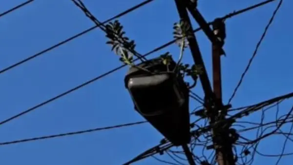 Lampu PJU di Cibadak, jalan nasional sukabumi bogor jadi pot kembang (Sumber: dok warganet)