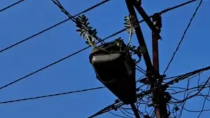 Lampu PJU di Cibadak, jalan nasional sukabumi bogor jadi pot kembang (Sumber: dok warganet)