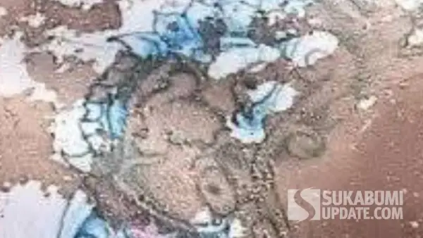 Tato batik motif barong di dada mayat pria yang ditemukan di pantai cimandala sukabumi (Sumber: dok pemdes)