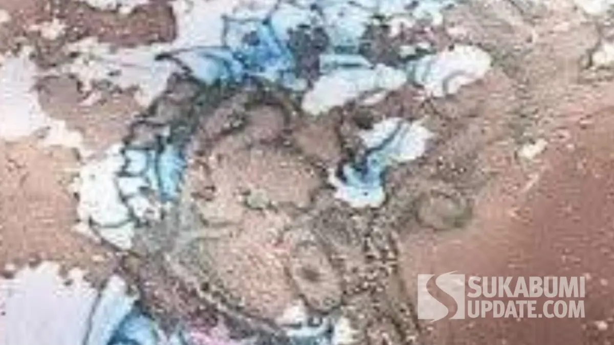Mayat Bertato Batik Barong di Pantai Cimandala Sukabumi, Ditemukan Tanpa Pakaian