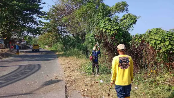Petugas UPTD PU Wilayah IV Palabuhanratu saat melakukan pembabatan rumput liar di di ruas Jalan Pelita. (Sumber Foto: SU/Ilyas)