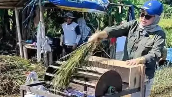 Kepala Distan Kabupaten Sukabumi, Sri Hastuty Harahap, saat mencoba alat bantu panen padi karya petani Desa Parungseah, Kecamatan Sukabumi | Foto : Dok. Distan