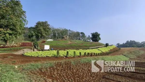 Lokasi pembangunan Rejuvenate Village (Rejuvill) di Desa Tenjojaya, Kecamatan Cibadak, Kabupaten Sukabumi. | Foto: SU/Ibnu Sanubari
