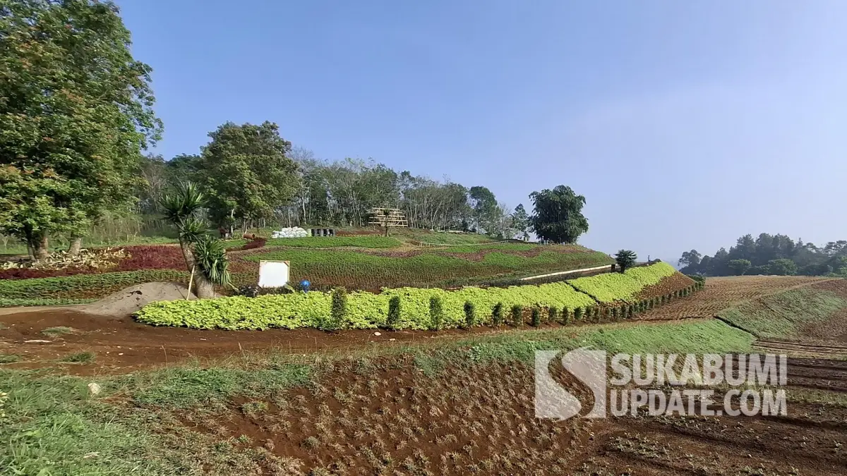Rejuvill: Menghidupkan Kembali Sukabumi Lewat Agrowisata 200 Hektare Bernapas Alam