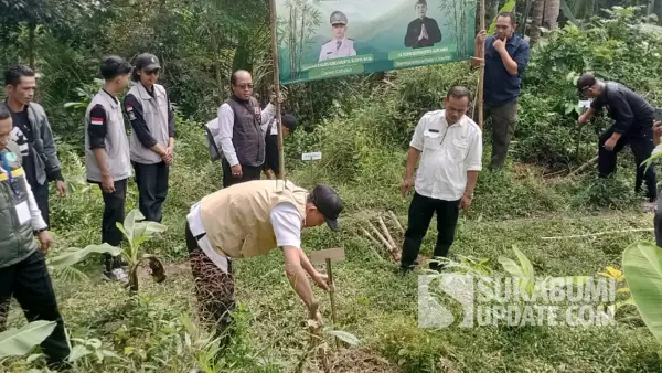 Penanaman pohon bambu di Kampung Datarnangka, Desa  Mekartani, Kecamatan Cidadap, Kabupaten Sukabumi, Rabu (13/8/2025). | Foto: Tagana Cidadap