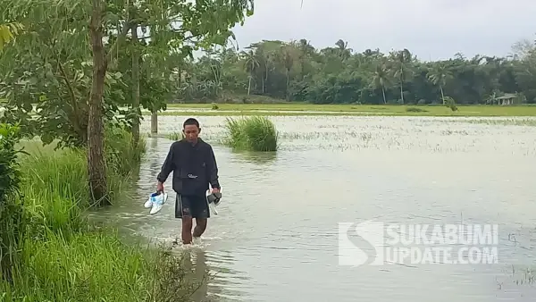 Kondisi banjir di Kecamatan Tegalbuleud, Kabupaten Sukabumi, akibat meluapnya Sungai Ciparanje. | Foto: P2BK Tegalbuleud