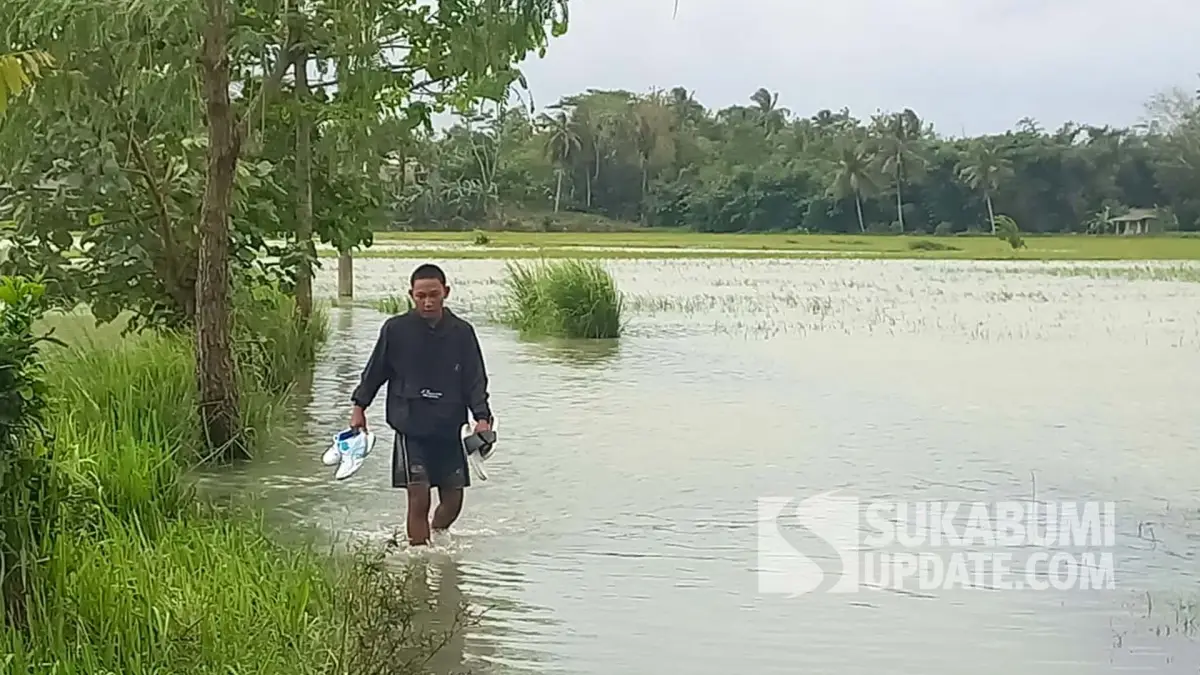 Banjir Langganan di Tegalbuleud Sukabumi: Sungai Ciparanje Tergerus Penyempitan dan Pendangkalan