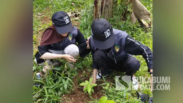 Mahasiswa KKN Nusa Putra University di Kecamatan Cikidang, Kabupaten Sukabumi, menanam pohon pada Minggu (27/7/2025). | Foto: Istimewa