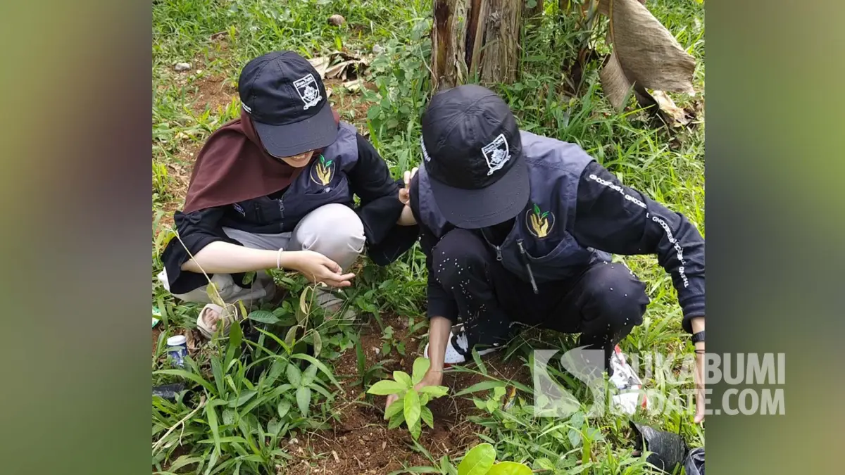 Mitigasi Longsor, Mahasiswa KKN Nusa Putra Tanam 500 Pohon di Cikidang Sukabumi