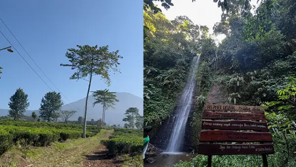 Menjelajahi Curug Rasta di Sukabumi bukan sekadar wisata, tapi perjalanan penuh tantangan. (Sumber : Instagram/@gangster.alam).