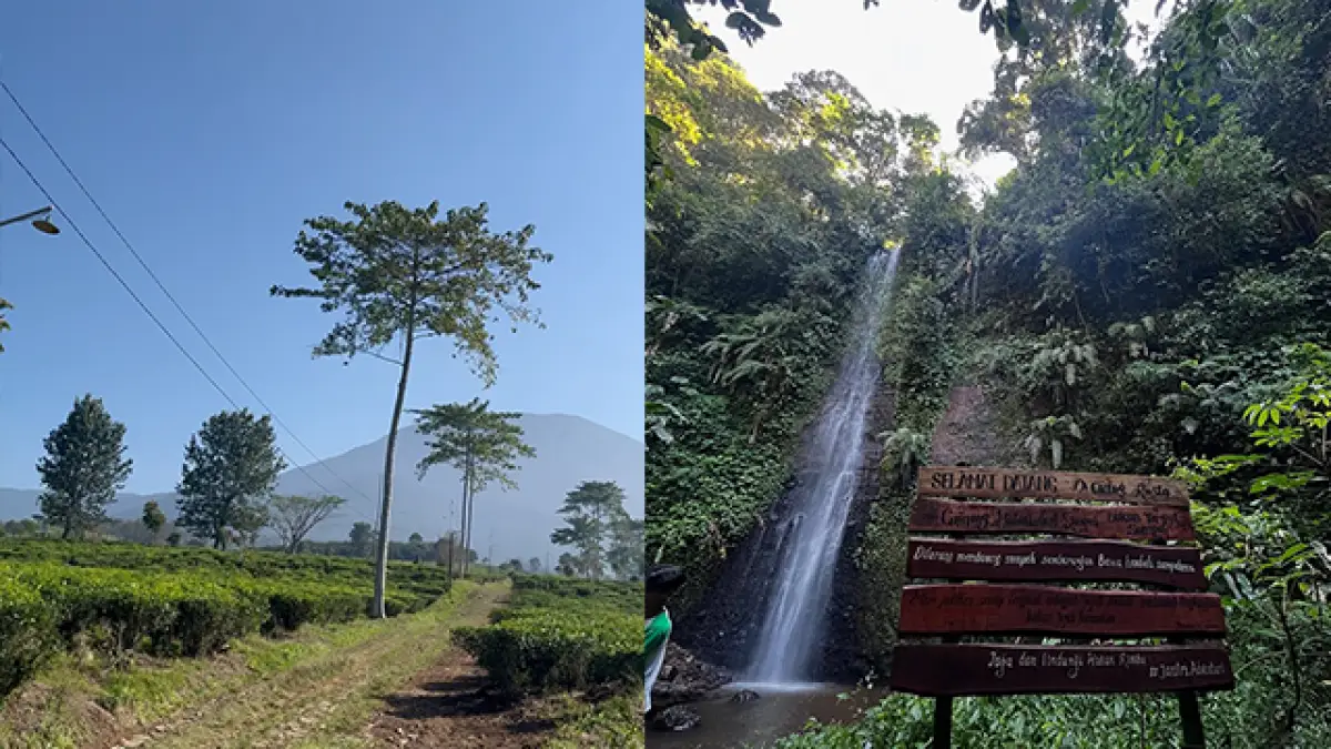 Curug Rasta, Wisata Air Terjun Gratis yang Penuh Tantangan di Sukabumi