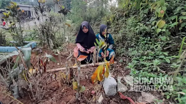 Suasana makam Raya (3 tahun) di Kampung Padangenyang RT 06/03 Desa Cianaga, Kecamatan Kabandungan, Kabupaten Sukabumi, pada 20 Agustus 2025. | Foto: SU/Ibnu Sanubari