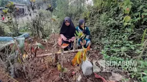 Suasana makam Raya (3 tahun) di Kampung Padangenyang RT 06/03 Desa Cianaga, Kecamatan Kabandungan, Kabupaten Sukabumi, pada 20 Agustus 2025. | Foto: SU/Ibnu Sanubari