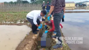 Proses evakuasi mayat bayi di sebuah selokan di Kampung Sawahlega RT 19/04 Desa Cibatu, Kecamatan Cisaat, Kabupaten Sukabumi, Kamis (21/8/2025). | Foto: Istimewa