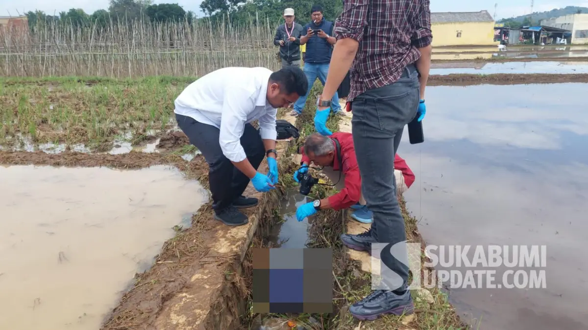 Air Sawah Tersumbat, Petani Cisaat Sukabumi Temukan Mayat Bayi Laki-laki di Selokan