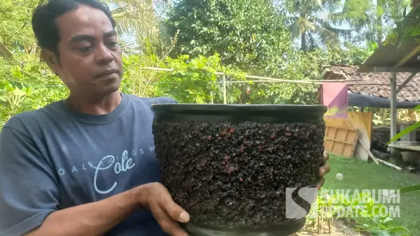 Olik dan pot bunga dan tanaman hias buatannya di Surade Sukabumi (Sumber: dok warganet)