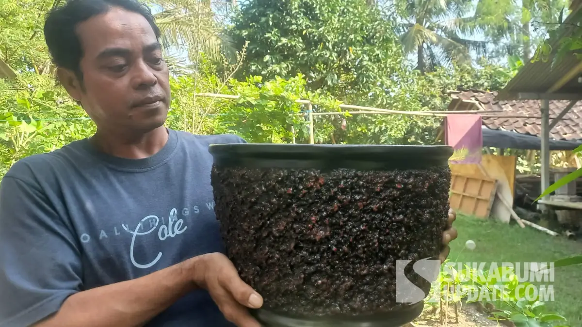Dari Bonsai ke Perajin Pot Bunga di Sukabumi, Produk Olik Bertahan Sejak Tahun 2000