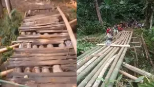 Jembatan bambu di Kampung Cibogo, Kecamatan Warungkiara, Kabupaten Sukabumi | Foto : Dok. Warga