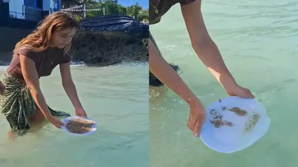 Lisa Garcia, turis asal Prancis, saat melepas baby lobster di laut Ujunggenteng Sukabumi | Foto : Dok. Pemuda Pelopor