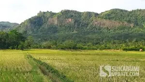 Lanskap Gunung Jandela di Desa Ciwaru, Kecamatan Ciemas, Kabupaten Sukabumi. (Sumber Foto: SU/Ragil Gilang)