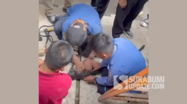 Upaya penyelamatan melalui CPR oleh Damkar Kota Sukabumi terhadap lutung yang kesetrum listrik. (Sumber Foto: Tangkapan layar video/Istimewa)