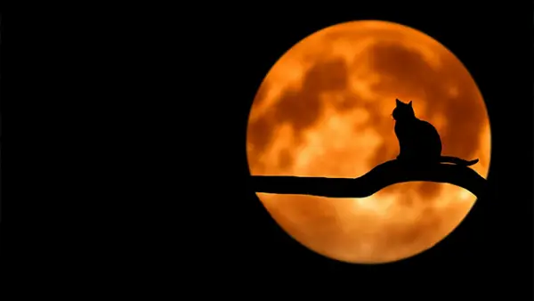 Ilustrasi - Saksikan keajaiban langit! Gerhana Bulan Total atau Blood Moon akan menghiasi langit Indonesia pada 7–8 September 2025. (Sumber : Pixabay.com/@Bessi).