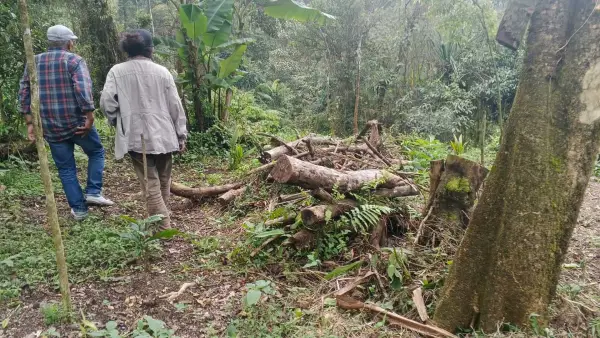 Tim Advokasi Warga Cidahu–Fraksi Rakyat saat meninjau lokasi pengrusakan akibat ilegal logging di Blok Cangkuang, kawasan Gunung Salak, Kecamatan Cidahu, Kabupaten Sukabumi. (Sumber : Foto Istimewa)