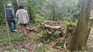 Tim Advokasi Warga Cidahu–Fraksi Rakyat saat meninjau lokasi pengrusakan akibat ilegal logging di Blok Cangkuang, kawasan Gunung Salak, Kecamatan Cidahu, Kabupaten Sukabumi. (Sumber : Foto Istimewa)