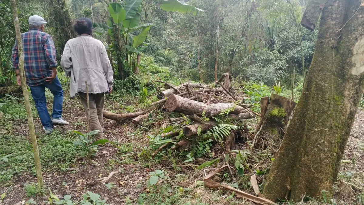 Warga Desak Penghentian Pembalakan Liar di Lereng Gunung Salak Sukabumi