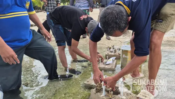 Penanaman Mangrove, transplantasi terumbu karang hingga penebaran benih lobster di pantai Ujunggenteng, Sukabumi. (Sumber: Dok: Pokmaswas)