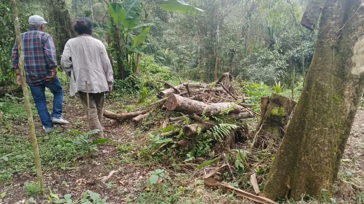 Rojak Daud Tuding Adanya Aktor Intelektual di Balik Pembalakan Liar Lereng Gunung Salak Sukabumi