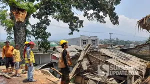 Pohon besar tumbang timpa sejumlah bangunan di Kampung Ciutara RT 02/01, Desa Nyangkowek, Kecamatan Cicurug, Kabupaten Sukabumi, pada Selasa (23/9/2025). (Sumber : SU/Ibnu Sanubari).