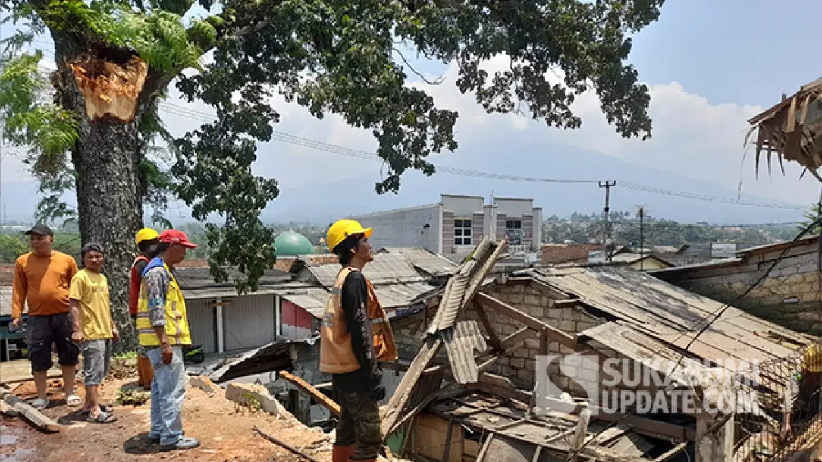 Cerita Warga yang Terluka: Pohon Tua Timpa Sejumlah Bangunan di Cicurug Sukabumi
