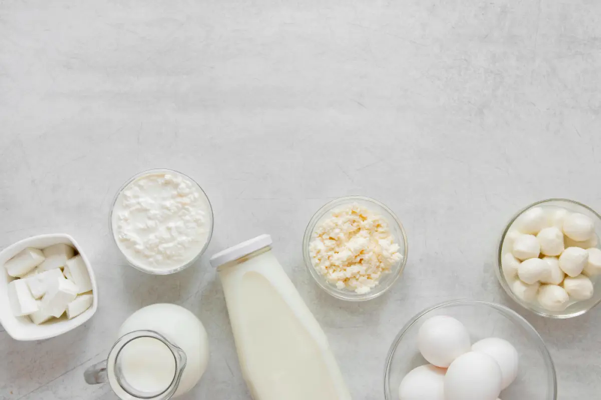 Mengenal Probiotik: Rahasia Alami untuk Menjaga Daya Tahan Tubuh