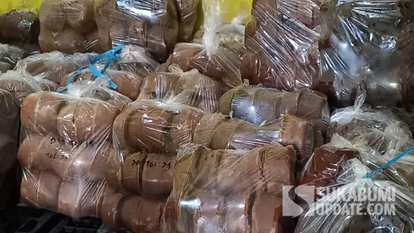 Hasil produksi gula kelapa non sulfit di Ciracap Sukabumi | Foto : Ragil Gilang