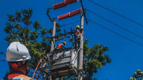Petugas PLN saat melaukan pemeriksaan jaringan | Foto : Dok. PLN
