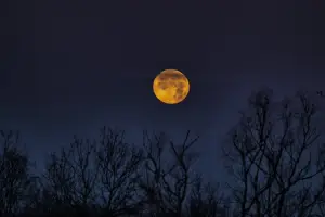 Lagu Bubuy Bulan: Lirik, Terjemahan, dan Makna Lagu Sunda yang Penuh Filosofi (Sumber: pexels.com/@Ivan Tanchev)