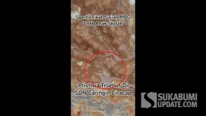 Tangkapan layar video viral yang menunjukkan adanya belatung hidup dalam menu MBG untuk Siswa SDN 3 Ciracap Sukabumi. (Sumber Foto: Istimewa)